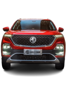 Electric Vehicles (EVs)
